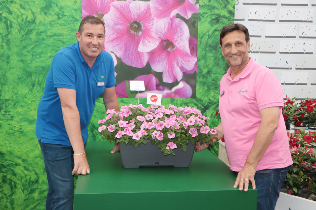 Adriano Gobetti (left) and Andrea Lazzeri with Petunia "La Signora Pink".