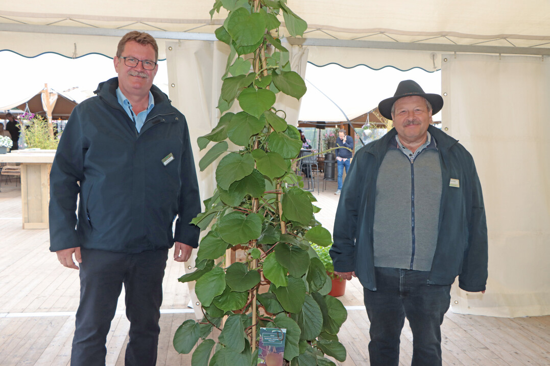 Ralf Schraeder and Markus Kurz, Graines Voltz.