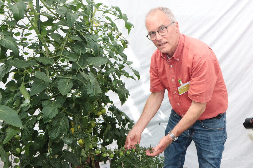 Jan van Heijst from Vreugdenhil. The company specializes in tomatoes and peppers.