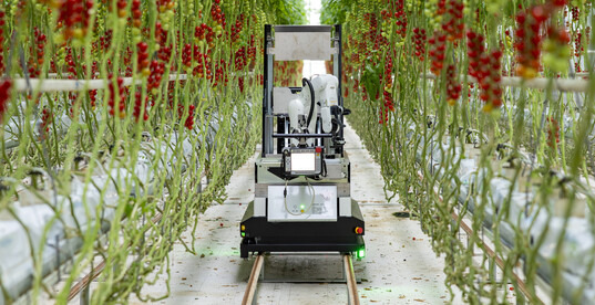 Fully automated cherry truss tomato harvesting robot Artemy