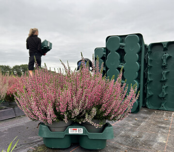 We are delighted that we are finally getting started, says Rupert Fey, board member of Euro Plant Tray eG. 