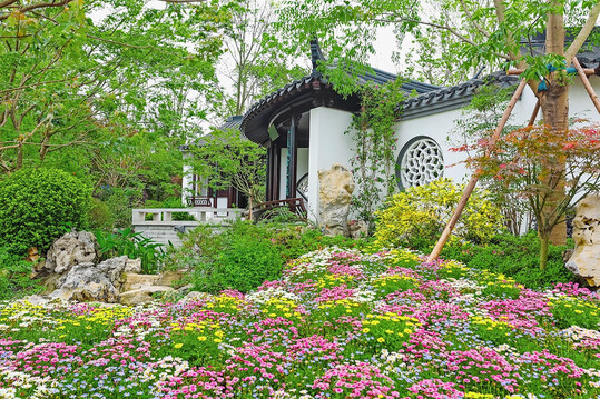 AIPH Grand Award Winner: Nanjing Garden, China.