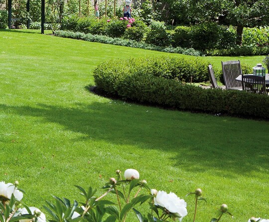 Hasselfors Garden acquires Algomin AB in Sweden