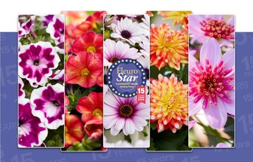 This year, five companies  Beekenkamp Plants, Dmmen Orange, Florensis, Selecta one and Syngenta Flowers  have submitted their most impressive novelty to take part in Fleuroselects FleuroStar Contest.