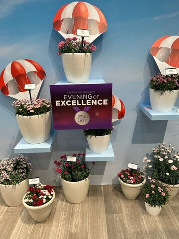 Culvitate Ohio 2023: In the category Readers Choice the Dianthus series "Capitn" from Selecta North America has been awarded with the Medal of Excellence!