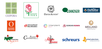  Thirteen leading cut rose breeders, organized in CIOPORA and its Crop Section Cut Rose IRBA, have called upon players of the rose business to observe and respect breeders Intellectual Property rights worldwide. 