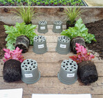 Hardly any differences are shown by Heuchera andCarex in the standard (left) and the peat-reduced TerZ substrate.