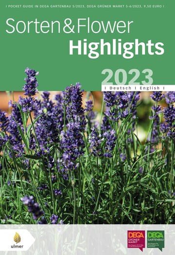 Download the online brochure on the best new bedding and balcony plants through the article!