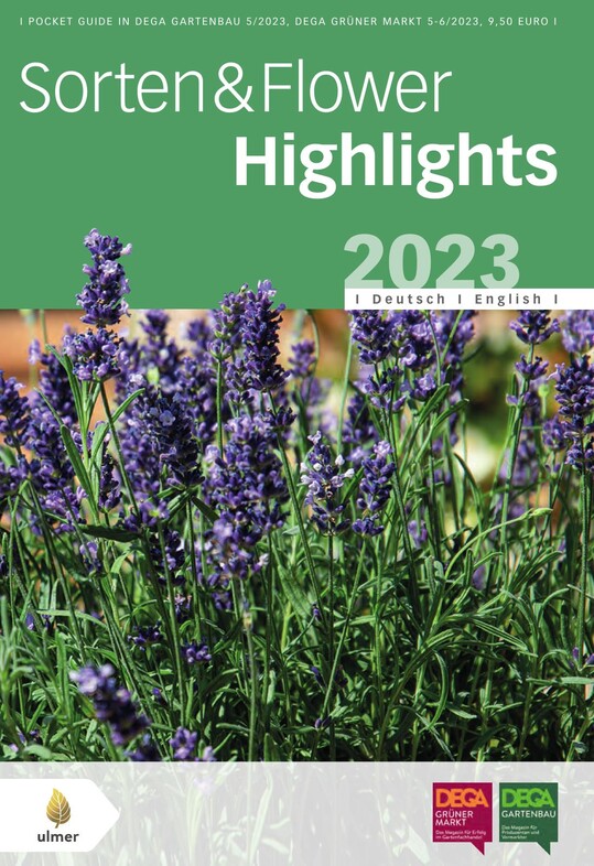 Download the online brochure on the best new bedding and balcony plants through the article!