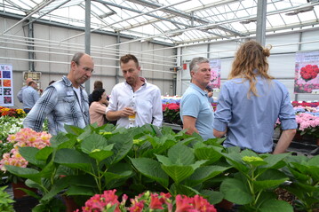 On June 16 2022 breeder HBA will organize a festive gathering at their location Achterweg 58A in De Kwakel.