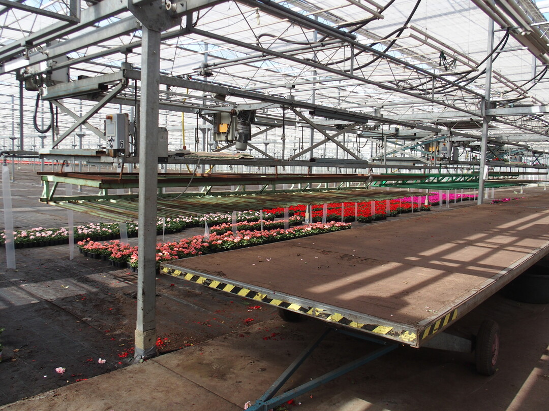Setting out and loading the pots are largely automated.