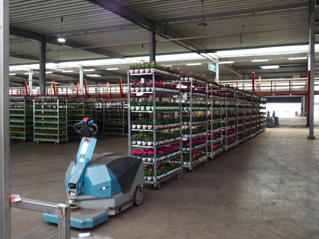 As much as possible runs automated, like these transporters running on induction loops with CC carts attached, ready for shipping.