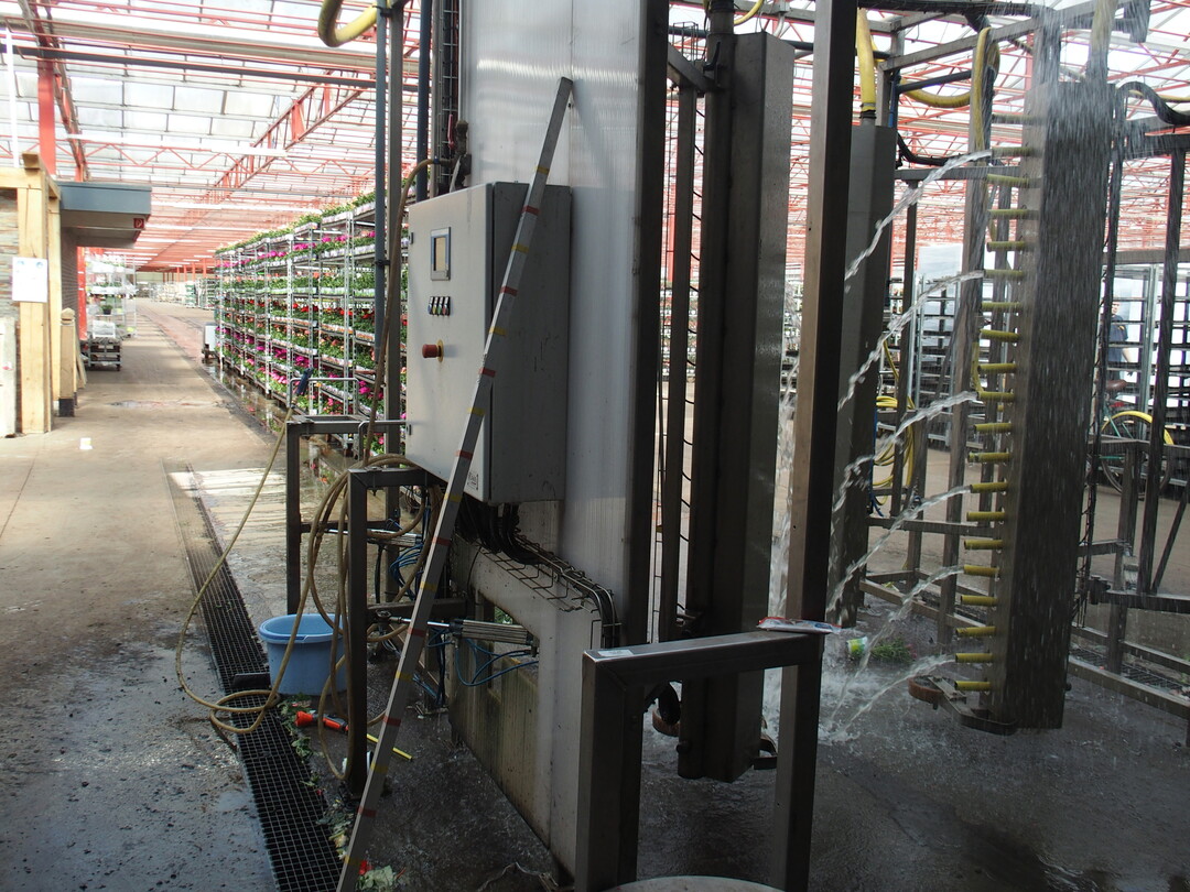 Automatically, the plants ready for sale are watered again on the way to loading.