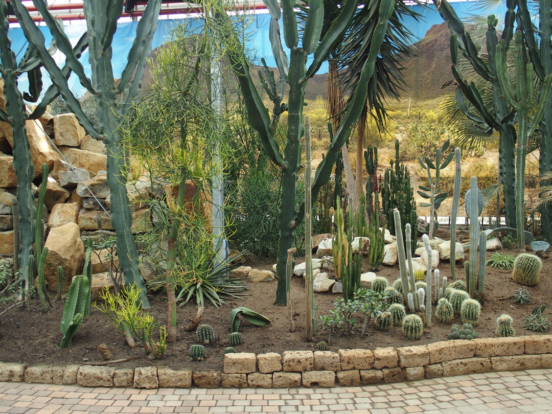 The Emsflower visitor center has become an attractive destination for the whole family.