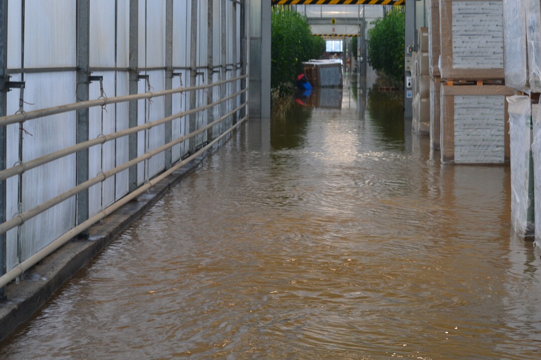Due to the hazardous situation, some member businesses were not allowed to be entered until days after the storm.