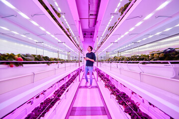 LED lighting in a greenhouse