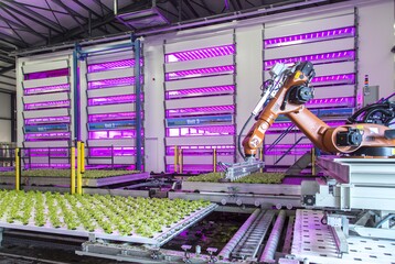 A global trend toward more high-tech horticulture: light is a crucial element.