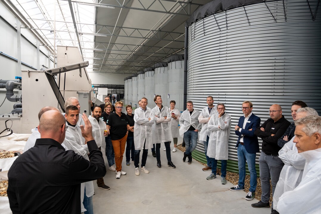 The future-proof production location of an additional 3 hectares, features the latest techniques in smart growing, with a clear focus on durability, efficiency, hygiene and energy reduction.