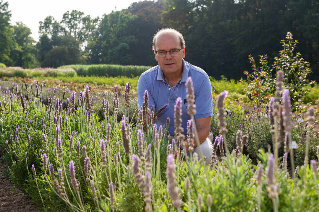     Research into ornamental plants is also an important cornerstone.