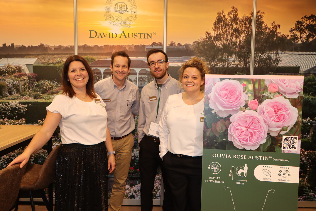 The team from David Austin Roses