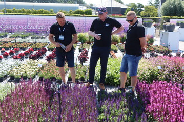 The total number of individuals visiting this years FlowerTrials was just over 5000, almost the same as last year.