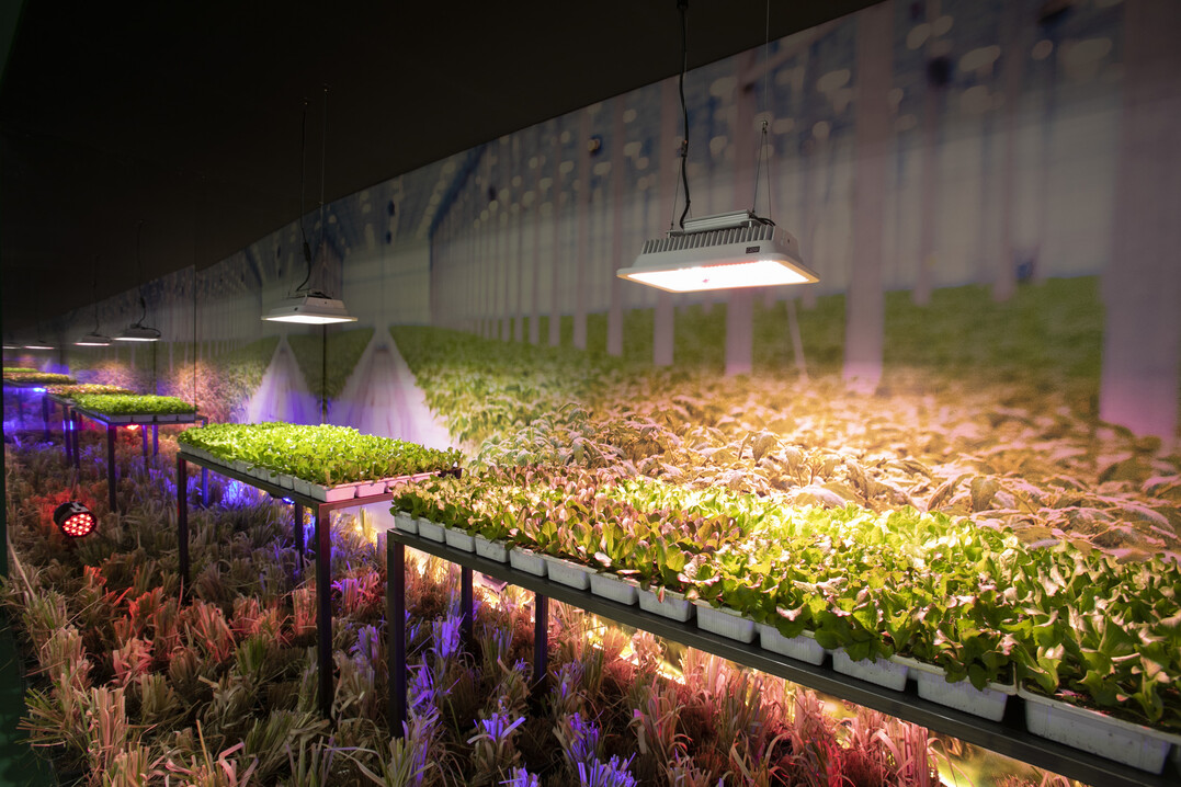 Impressions of the trade fair Myplant & Garden, which took place in Milan/Italy from 22 to 24 February 2023.
