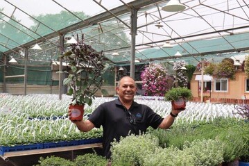 Hishtil is a leading nursery specializing in vegetables, herbs, seedlings, and young plants for use in agro production and home gardening.