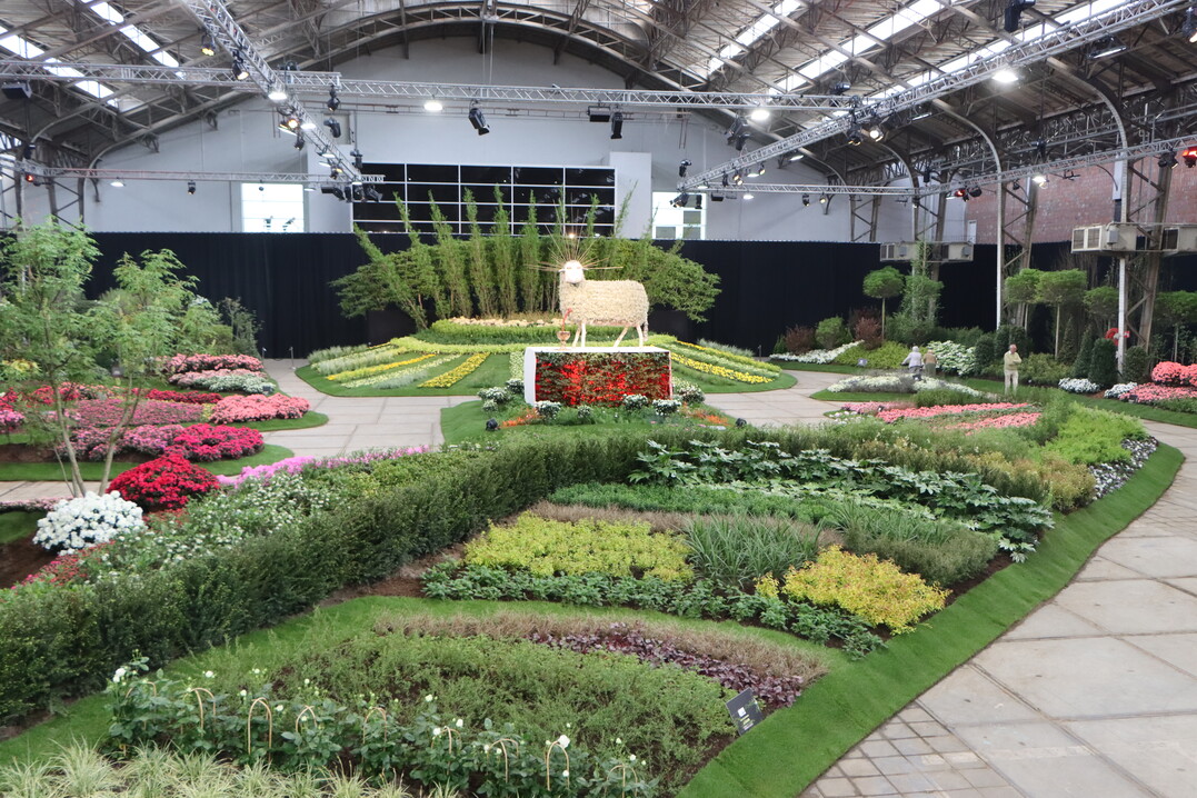 The organisers: "The Mystic Lamb by the Van Eyck brothers is one of the most influential paintings ever made. The Flemish horticultural and greenery sector brings this artistic highlight of Flemish painting to life in this iconic Floralies Hall with Flemish flowers, plants, shrubs and trees in all their shapes, colours and scents."