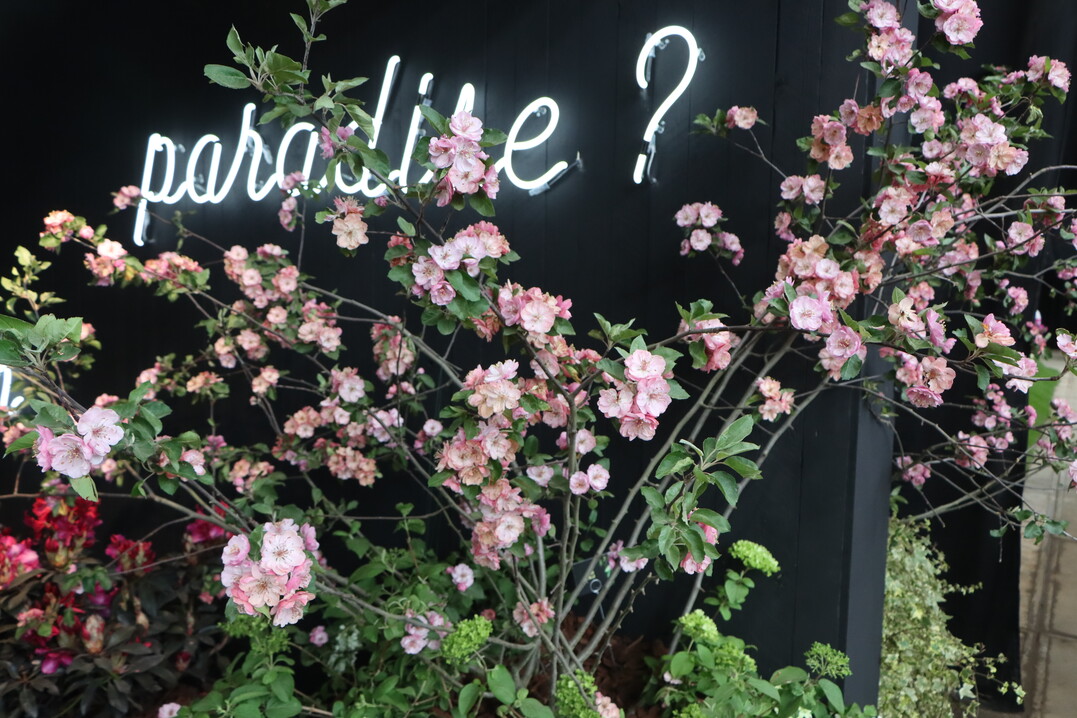 The Ghent Floralin make the question mark unnecessary: If you live with plants and in gardens, you are definitely in paradise!