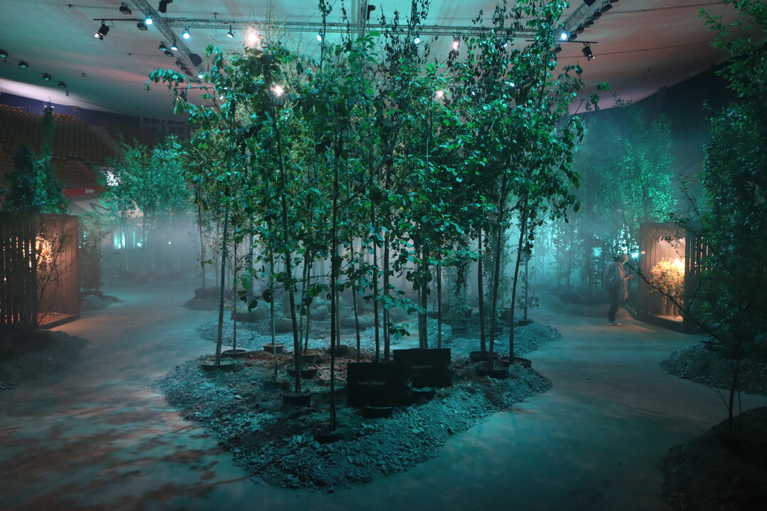 A misty and gloomy forest provided the right backdrop for the presentation of floristic works.