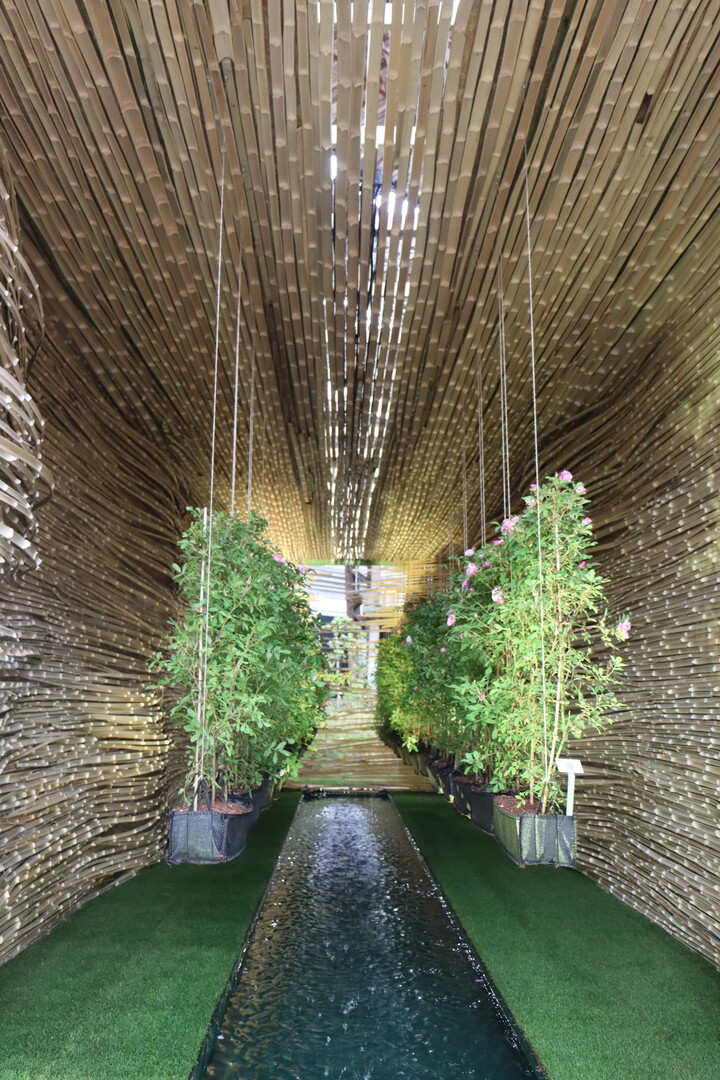 With a beautiful combination of bamboo, roses and water, Meer Plant from Meer (B) won the creativity prize. Meer Plant is a new member of the Oprins family. The stand was shared with sister companies Plantentuin De Kleine Boerderij Merksplas and Vista Verde Nursery.