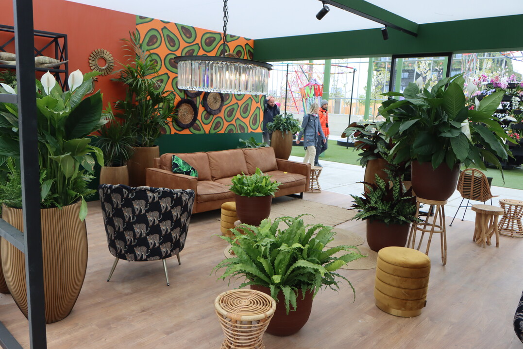 Living with green plants is a mega-topic that interests many visitors.