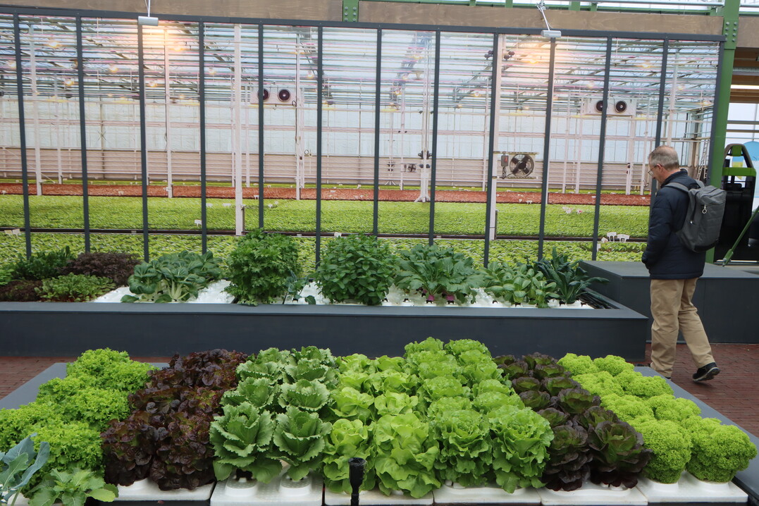 The Green House demonstrates the innovative power of the Dutch greenhouse horticulture sector.