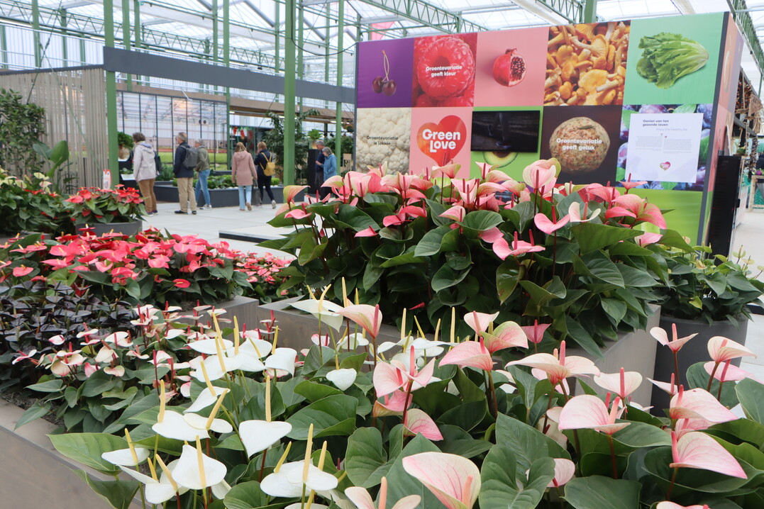 The unique greenhouse complex  The Green House  is the place where Dutch greenhouse horticulture presents itself.