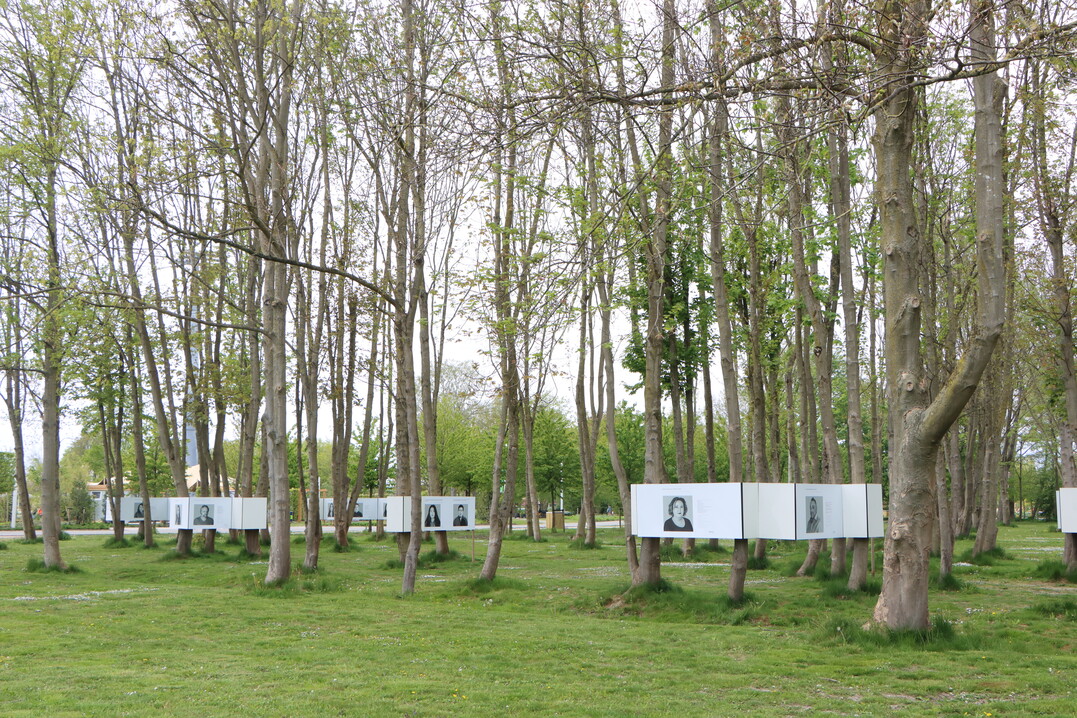 Quite pristine forest has also been preserved at the Floriade site, which serves here as a backdrop for an art project.