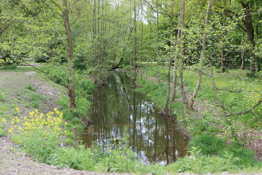 Site planning designed on the drawing board did not displace nature, but incorporated it.