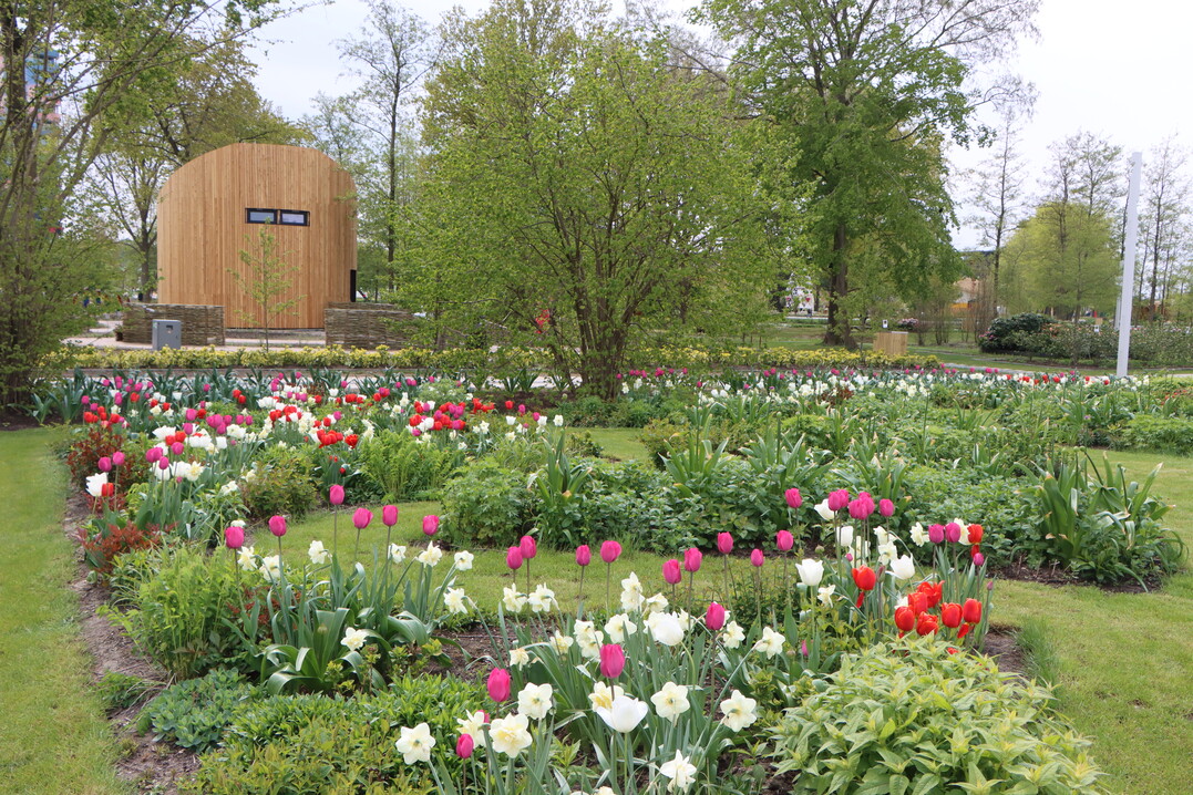 The Netherlands - unthinkable without tulips.