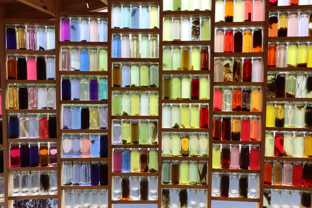 The pavilion Shades of Nature shows that the process of dyeing wool can be done with energy that is already there: the sun. In glass jars with water and vegetable dyes, the wool colours during the season. The same sun projects the colours onto the inner wall, felted from the wool of City & Natures sheep, for a modern stained-glass effect.