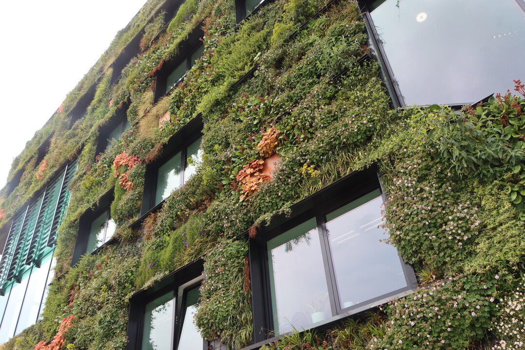 The Aeres University of Applied Sciences building in Almere professes its commitment to future concepts with a green faade.This building - nicknamed "The Green Lung" - has been awarded the Circular Award 2022 and embodies the central theme of Floriade: "Growing Green Cities".