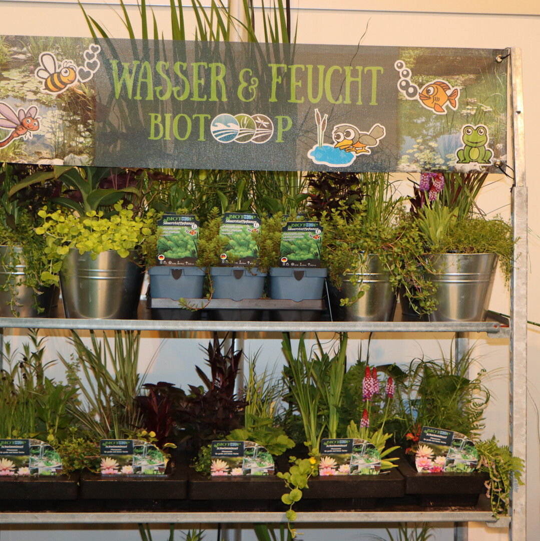 The water plant nursery Baumann from Kevelaer presented mini plants with ecological advantages.