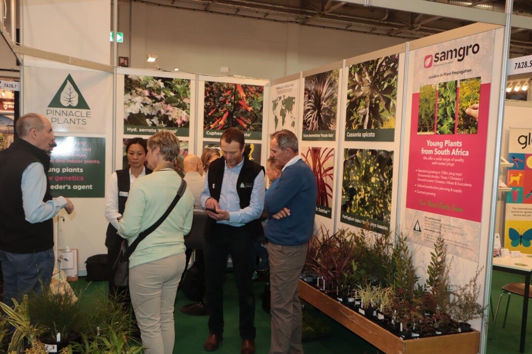 Pinnacle Plants International c/o Stourbank Nursery (7A28.8)