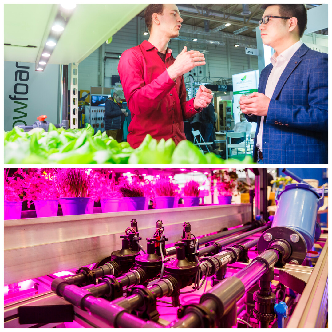 The International Plant Fair will focus on the technology sector from January 24 to 27, 2023. The new "Innovation Center Horticultural Technology" will celebrate its premiere in Hall 4.