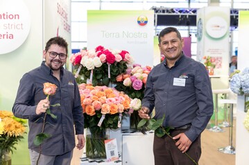 Whether roses, carnations, chrysanthemums or proteas - the Ecuadorian range of flowers is impressive.