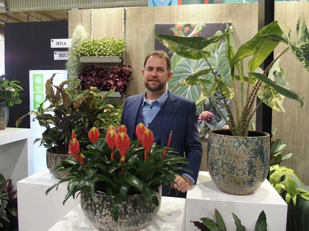 Peter De Ridder with Vrisea "Ida` (front) and Alocasia "Zebrina variegated` (r.)