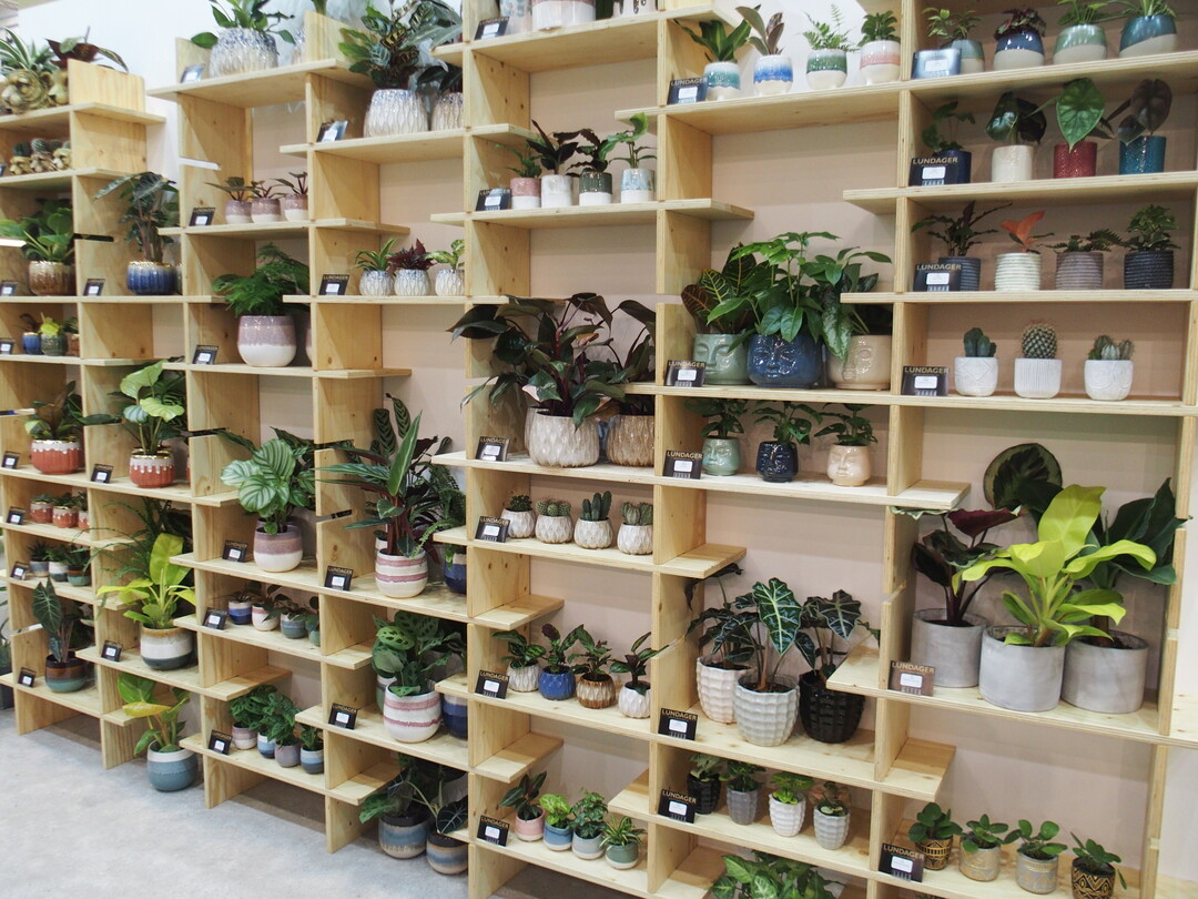Lundager focuses on low-maintenance green plants in modern planters.