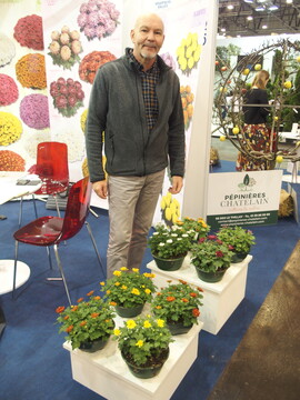 Alain Sauv is a specialist in pot Chrysanthemums.