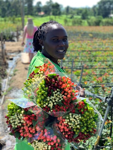 "Fina Flora", located in the western highlands of Kenya"s Great Rift Valley, specialise in the cultivation of Hypericum with brightly colourful berries