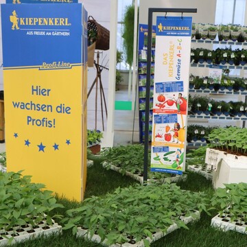 As an exhibition guest at Westhoff in Sdlohn, Bruno Nebelung showed numerous current plant concepts for the Kiepenkerl brand, for which there are both seeds for end customers and young plants.