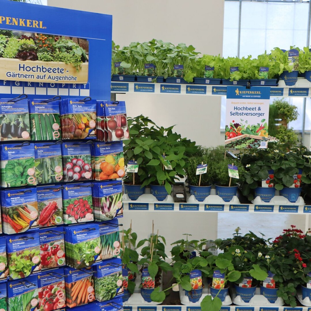 A concept for raised beds.