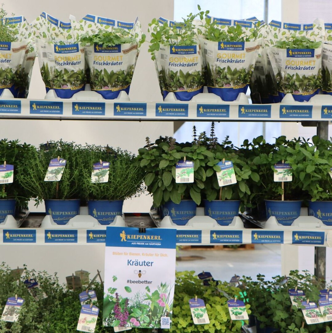 "Fresh herbs - the taste of life".